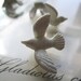 6 Small Vintage Plastic Doves le zoo sale item