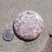 SALE Gemstone Pendant Bead - Fossil Crinoid 4611