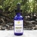 Peppermint, USA premium - 100 percent pure essential oil - 1 oz
