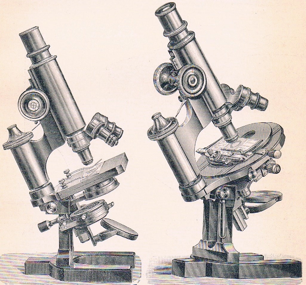 1897 German BacktoBack Engraving of Microscopes
