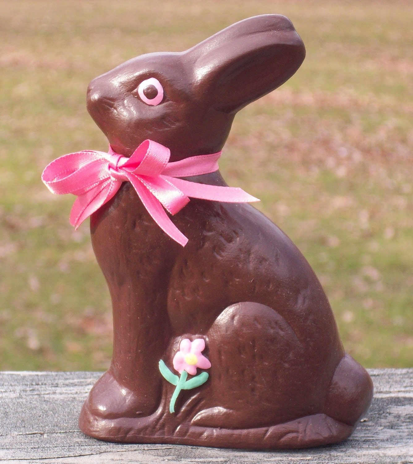 stuffed chocolate bunny