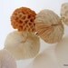 Authentic Coral Long Stemmed Flowers RESERVED for Francesca