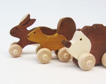 Woodland dier instellen kinderen van Eco vriendelijke Mini Push speelgoed Waldorf houten