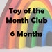 Wooden Toy of the Month Club- Waldorf Eco Friendly Gift- 6 Month Subscription