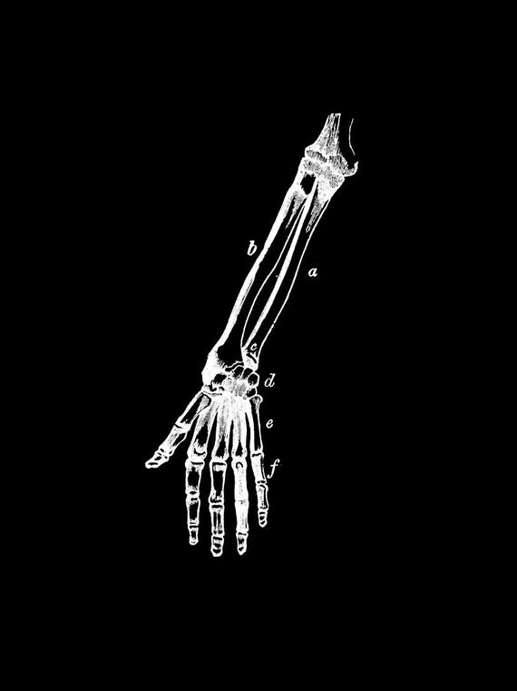 Items similar to Arm Bones (Art Print) on Etsy