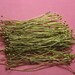 Medium Size - Natural Raw Brass Ball Pins - Approx 1.25 Inches or 35mm Long (0.6mm thick or 24 gauge)- 150 pcs