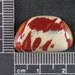 Owyhee Jasper Cabochon Hand cut OWY3