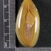 Queensland Agate Cabochon Hand Cut AQ1