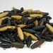 Toggle Buttons Bag of Black, Brown,Blue,Gray and Tan Toggle Buttons
