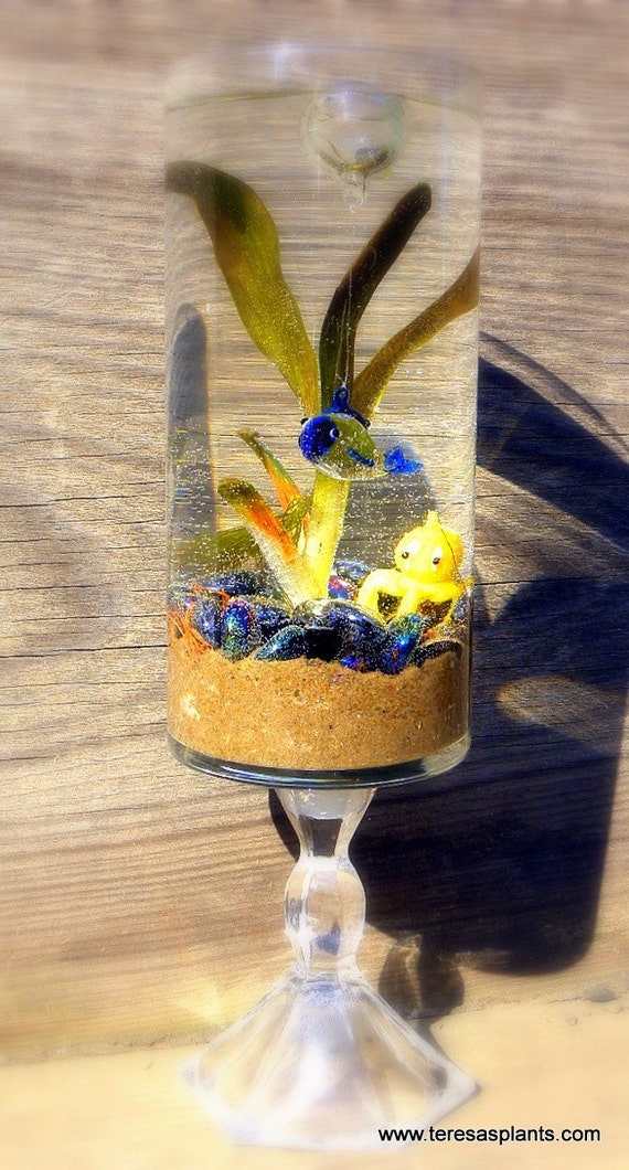Items similar to Blown Glass Fish Aquarium KitOctopus and Floating