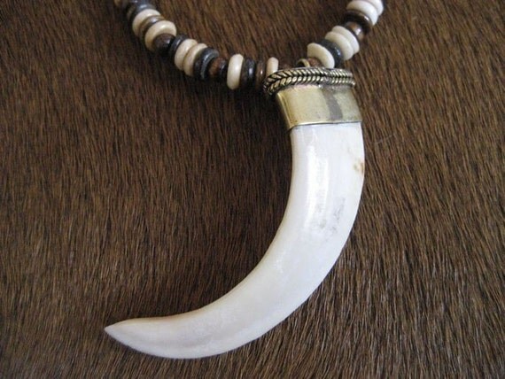 boar teeth necklace and buffalo bones viking prehistoric