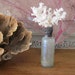 Sea shell bottle sculpture