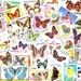 Lot of Mixed Worldwide Butterfly Postage Stamps for Altered Arts Collage Destash