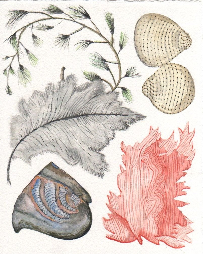 Literal and Abstract Nature Collection original by ArtGoods