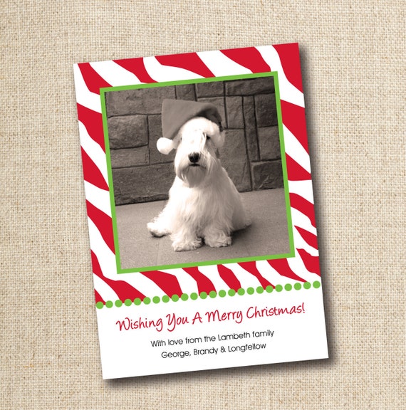 Items similar to Zebra Print Holiday Photo Card, Custom, Printable