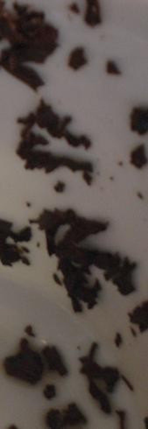 g5 paranormal agency cup of tea find g5 paranormal agency cup of tea find