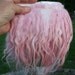 Natural Suri Llama 5-6" Locks Weft 52" L Hand dyed Pretty Pink Perfect for Doll Wig Making, Reborns, Rooting