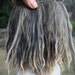 Natural Suri Alpaca Gray with white tips 5-6" Locks Weft 36" L Perfect for Doll Wig Making, Reborns, Rooting