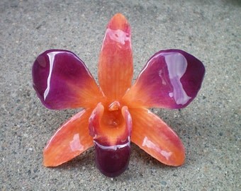Free Shipping REAL Natural Rich Orange and Magenta Purple Radiant ORCHID Pin and Pendant