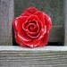 REAL NATURAL BOLD RED ROSE PIN and PENDANT