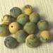 Half Price Sale - 13 Earth Beads
