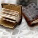 Whisper - Pair of Miniature Rustic Leather Books for the Ears with Tea Stained Pages & Tiny Treasure House