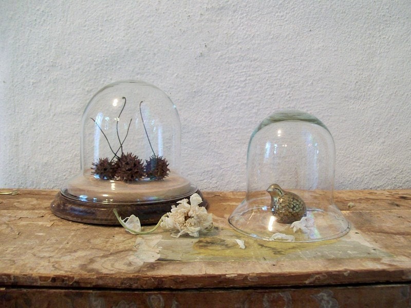 Large Glass Cloche a Perfect Display Dome