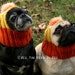 READY to SHIP - Dog Hat - Candy Corn Hat