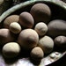 Rolling Rocks - Natural Round Egg Shaped Beach Stones from Lake Erie - Beachy Tabletop Decor