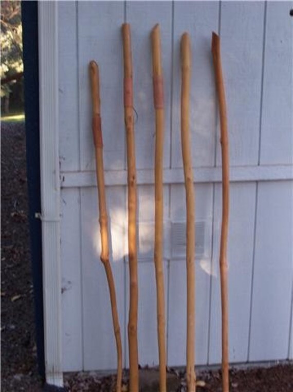 Items similar to WALKING STICK WITH LEATHER GRIP on Etsy
