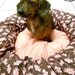 Floating Petals Pet Bed