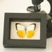 Yellow Migrant Sea Monster Real Framed Butterfly Display
