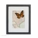 Vintage Map of Texas with Monarch Butterfly