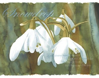 Beautiful tent gift cards printed from original water colour art.