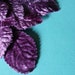 Velvet Millinery Leaves in Light Plum Purple for Altered Art, Hats, Brooches, Corsages, Fascinators, Scrapbooking
