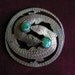 Salamander eggs buckle