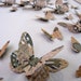 INVENTORY CLEARANCE. Sparkly French Script - 3D Butterfly Art - Moss Green, Taupe and Ivory - 8X10 inches