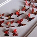 SALE Chinese Year of the Dragon Upcycled 3D Butterfly Art. Red. Black. Decor. Eco Friendly Recycled Paper Art. 5x7