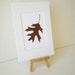 Un-framed Real Pressed Hanging Brown Oak Leaf Pressed Art - 5 by 7 inches ---A31