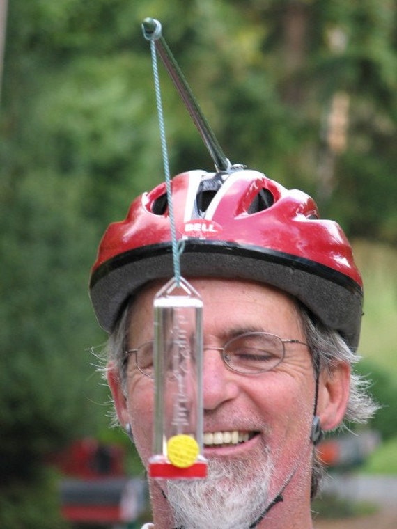 Single Feeder Hummingbird Hat