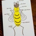 Letterpress Love Card, You're the Bee's Knees