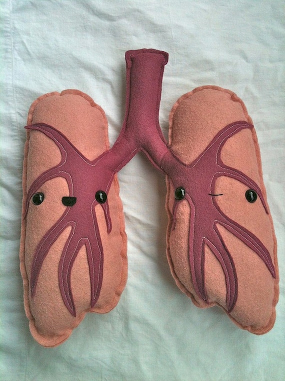 plush human organs