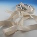 Cameo Ivory 5 yard length Midori Silk Dupioni Bias Ribbon