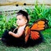 SALE SALE SALE!!! Ready to Ship Black Monarch Butterfly Wings