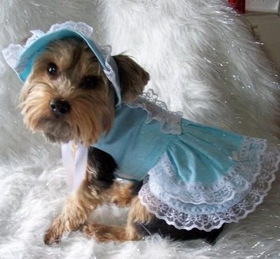 Easter or Party Dress w Bonnet Dog Pet Clothes Sz SM