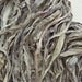 oyster recycled silk sari ribbon