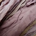 coffee bean chiffon gossamer ribbon