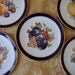 Beautiful Set of Vintage Bavarian Porcelain Fruit Plates