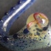 Shroom and Blue Awesome Dotted Sherlock