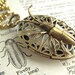 Bug Locket Necklace Insect Oval Filigree Gothic Victorian Rustic Brass Vintage Inspired Oval Locket